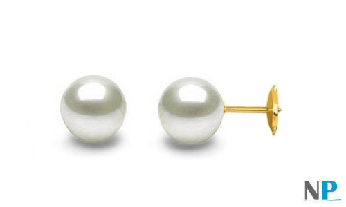 Orecchini con perle bianche d'acqua dolce con perni di sicurezza brevettati GUARDIAN Oro Giallo 18k