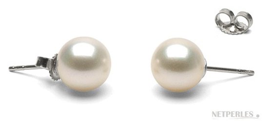Paire de boucles d'oreilles de perles de culture d'eau douce blanches qualité AAA en or gris