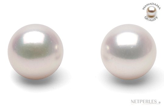 Boucles d'oreilles de perles d'Akoya Hanadama blanches