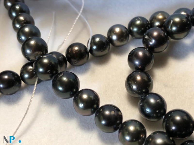 Collier de perles noires de Tahiti