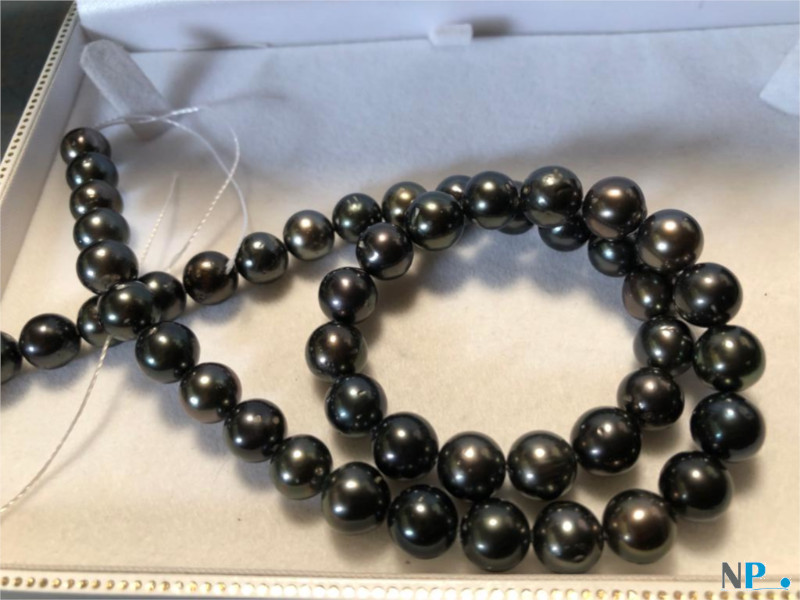 Collier de perles noires de Tahiti