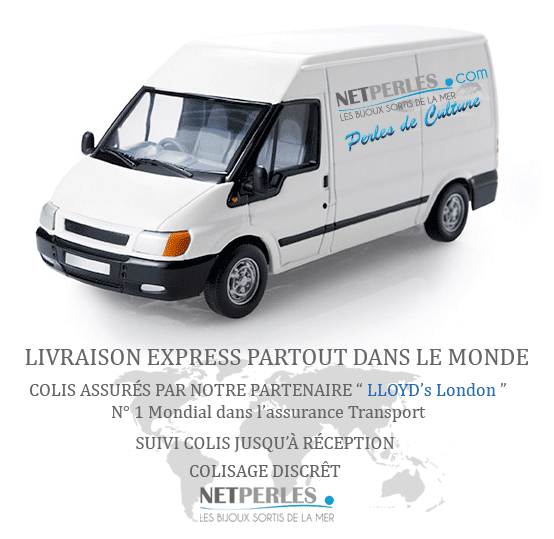 Transport Express partout dans le monde - Colis assurés - Livrés par des professionnels mondialement reconnus