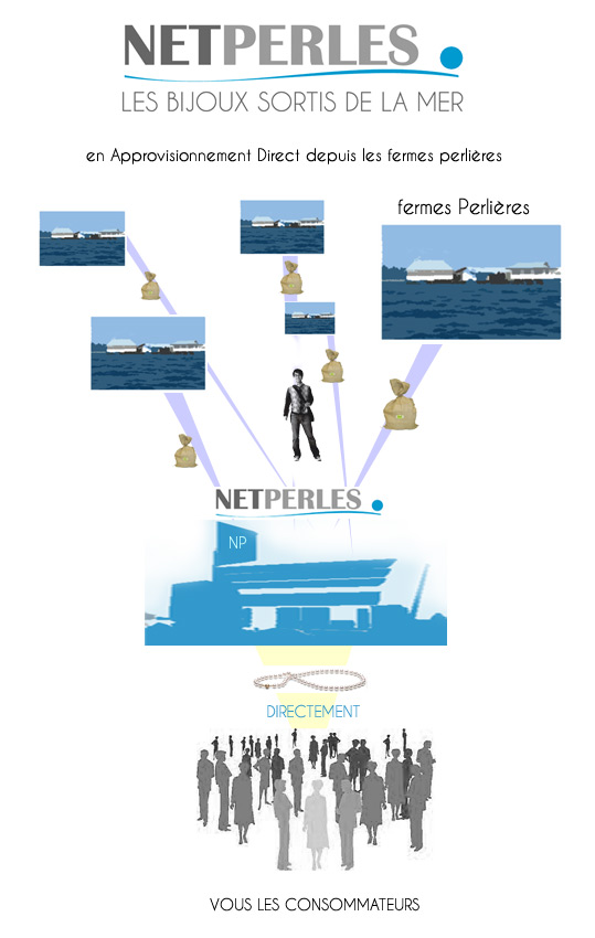 CIRCUIT D'APPROVISIONNEMENT DES PERLES DEPUIS LES FERMES PERLIERES JUSQU'AUX CONSOMMATEURS