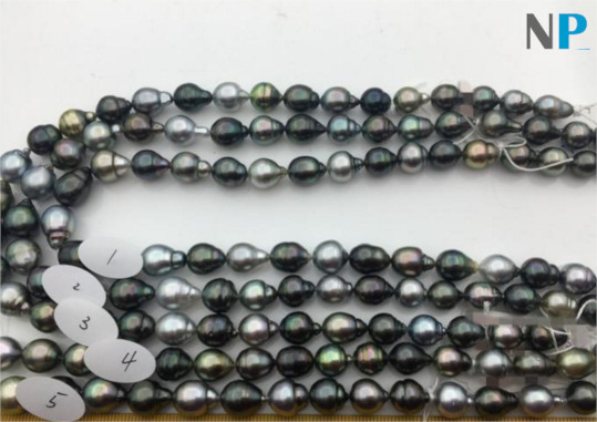 Collier  N°3 , 43 cm perles de Tahiti Baroques allongées ou poires