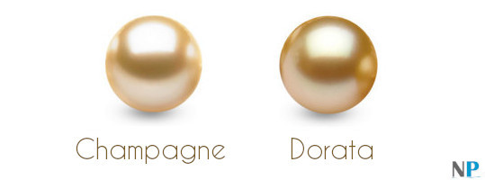 Perle dorate delle filippine colori champagne e dorata (gold)