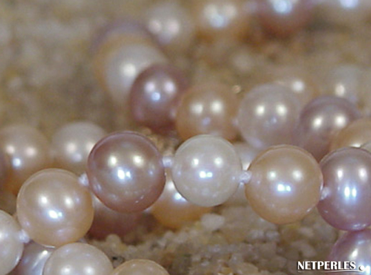 gros plan sur des perles d'eau douce multicolores