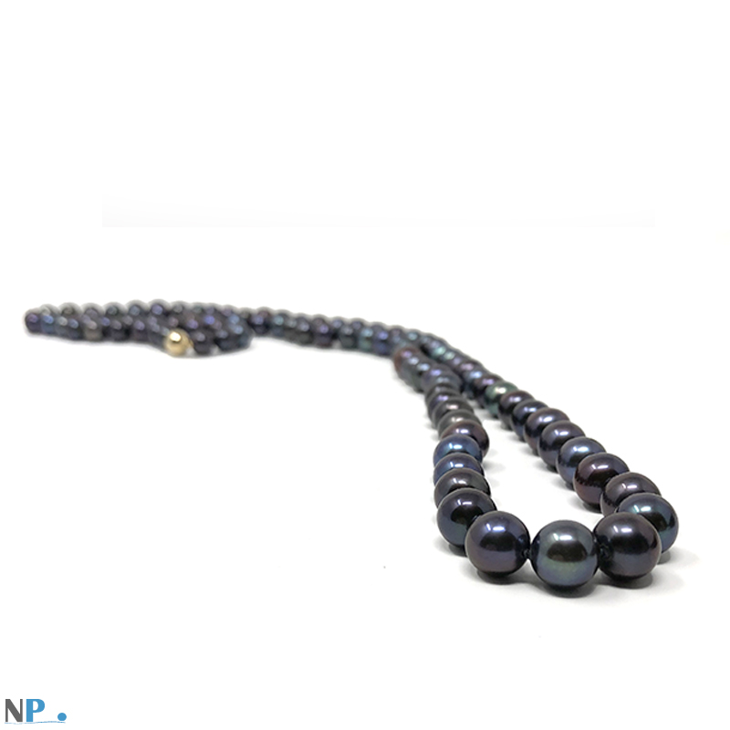 Perles noires d'eau douce