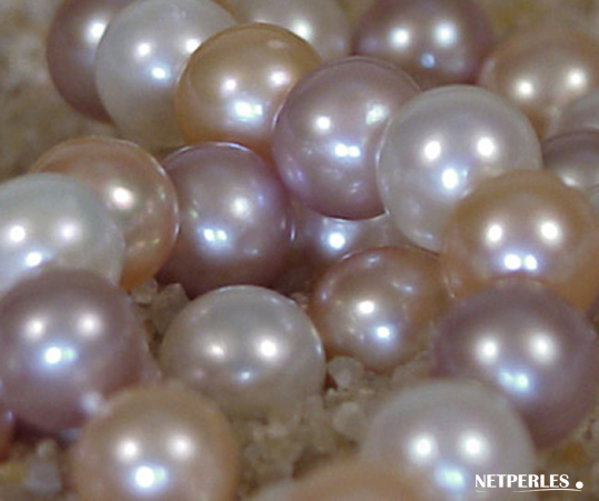 perles d'eau douce multicolores prises en gros plan