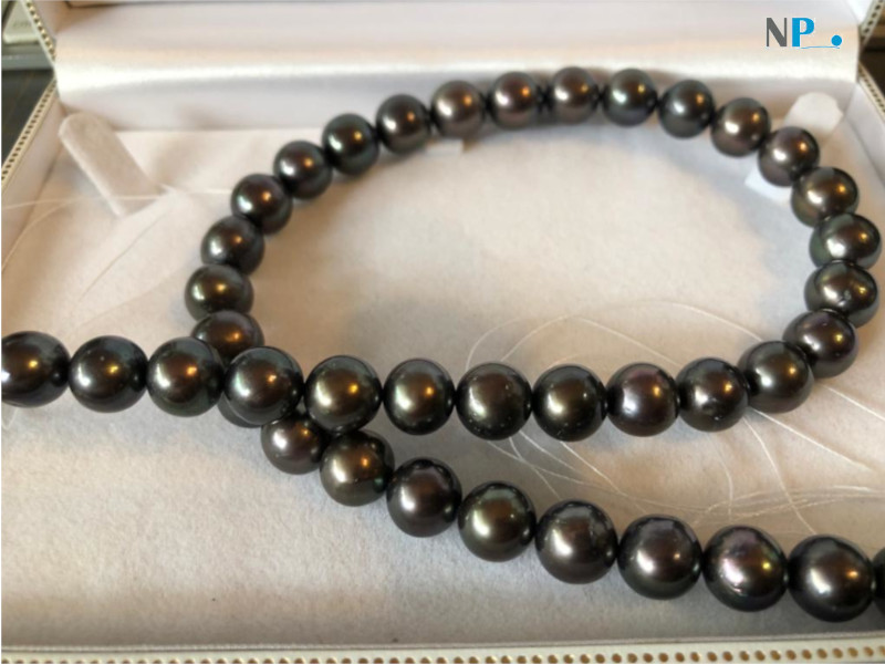 Rang de perles noires d'eau douce qualité AAA de 9 à 10 mm