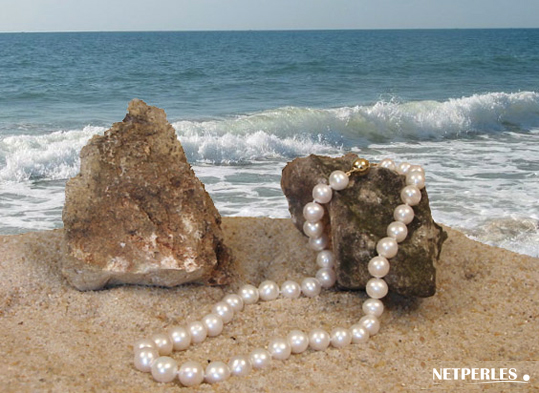 Collier de perles de culture d'eau douce blanches gros diamètres