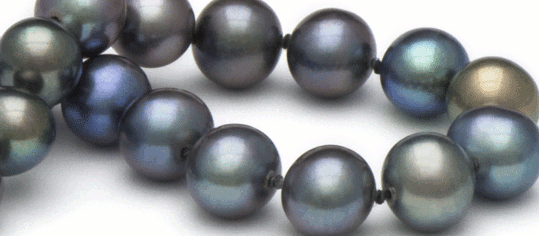 Perles de culture d'eau douce noires