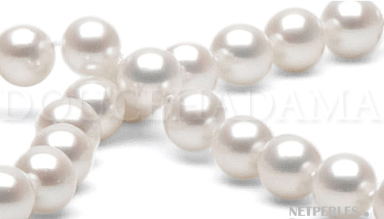 Gros plan sur les perles de culture d'Eau Douce qualité DOUCEHADAMA blanches