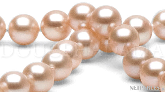 Gros plan sur perles de culture d'Eau Douce qualité DOUCEHADAMA de 6,5 à 7,0 mm