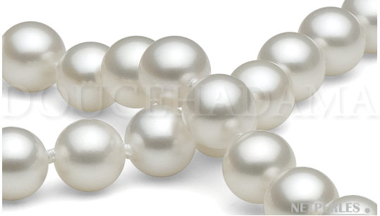 gros plan sur les perles doucehadama, perles d'eau douce haut de gamme de 7,5 à 8,0 mm