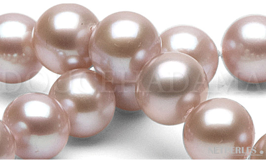 Gros plan de perles de culture d'Eau Douce Lavandes qualité DouceHadama