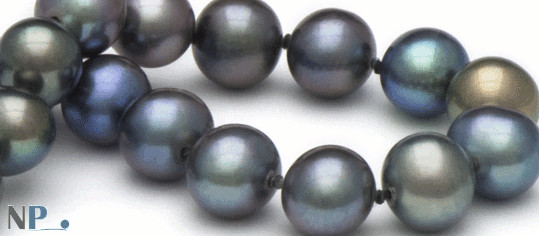 Perle nere multiriflesso d'acqua dolce
