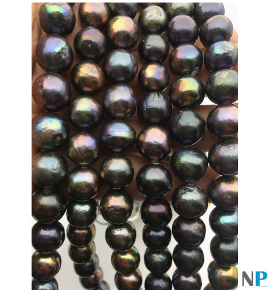 Collier de perles d'eau Douce EDISON noires , bleu nuit, émeraude, bronze, cuivre