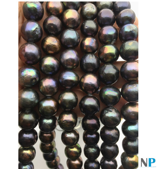 Collier de perles d'eau Douce EDISON noires , bleu nuit, émeraude, bronze, cuivre