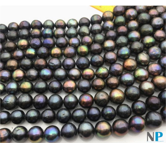 Collier de perles d'eau Douce EDISON noires , bleu nuit, émeraude, bronze, cuivre