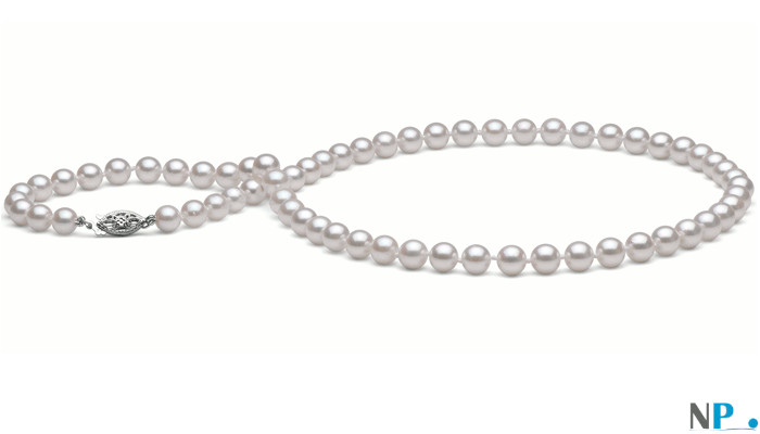 Collier de perles d'Akoya blanches