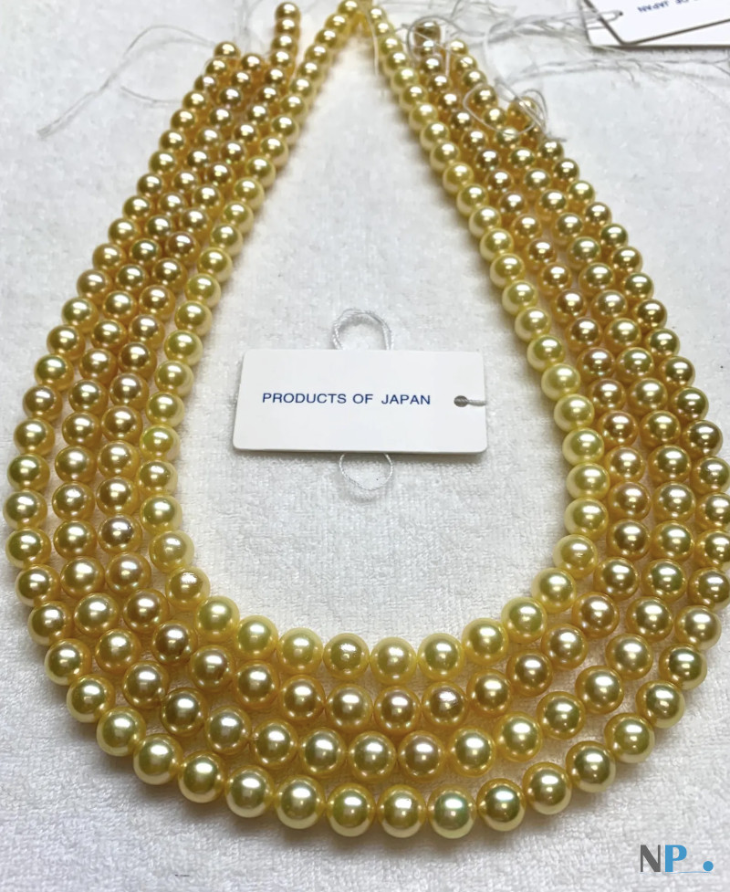 Collier de perles dorées d'Akoya du Japon Collier de perles dorées d'Akoya du Japon