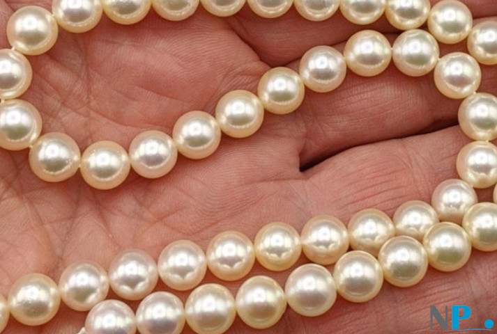 Un gros plan sur ces perles champagne de qualité AA+ avec quelque légère particularité de surface