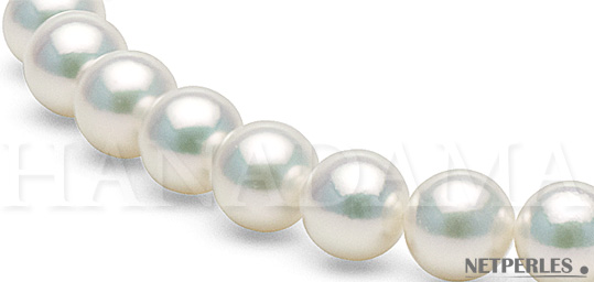 Gros plan sur des perles d'Akoya blanches naturel, qualité HANADAMA diametre de 8,5 à 9,0 mm