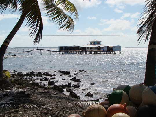 Ferme perlière Tahiti