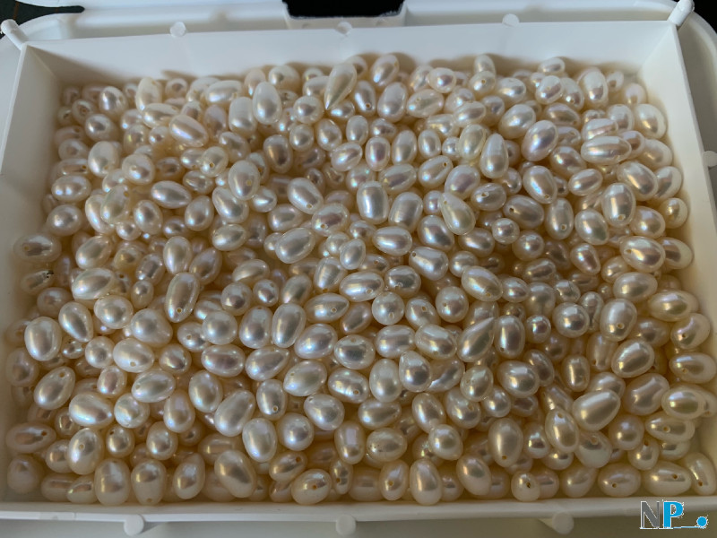 Perles blanches d'eau douce en grains de riz ovales percées transversalement
