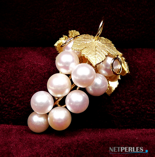 Dans l'écrin le bijou se sent bien, grappe en or massif avec perles de culture d'akoya