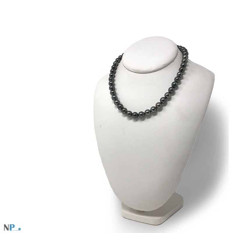 Perle di Tahiti, una bellezza rimarcabile, un gioiello di lusso accessibile su Netperla!