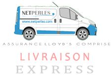 Livraison express sous 24h départ atelier partout en France - Livraison partout dans le monde  - tous nos colis sont assurés par une Compagnie dédiée : LLOYD's London N°1 Mondial de l'assurance transport