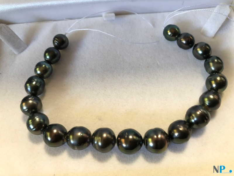 Rang de perles noires de Tahiti baroques de 20 cm pour création bracelet