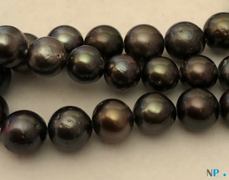 Collier de perles noires de Tahiti