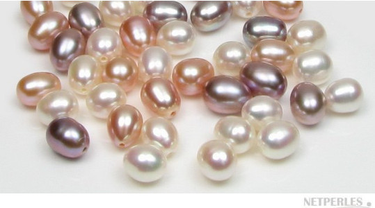 Perles d'eau douce ovales multicolores de très belle qualité