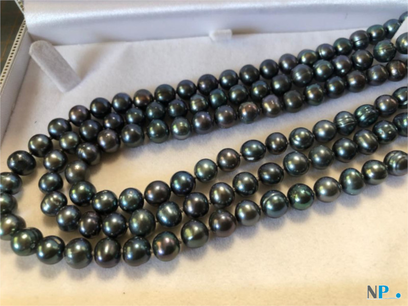 Collier de perles de culture d'eau douce 3 rangs avec fermoir en Argent 925
