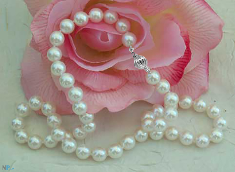 Collier de perles d'Akoya 8-8.5 mm blanches