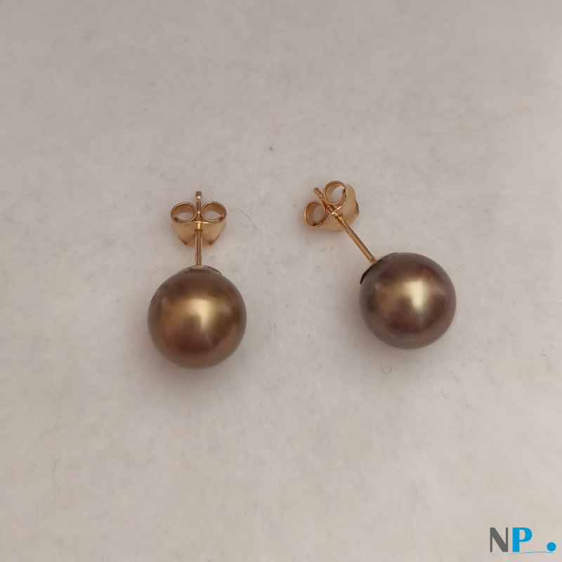 Paire de boucles d'Oreilles de perles de culture de Tahiti qualité AAA Paire de boucles d'Oreilles de perles de culture de Tahiti qualité AAA