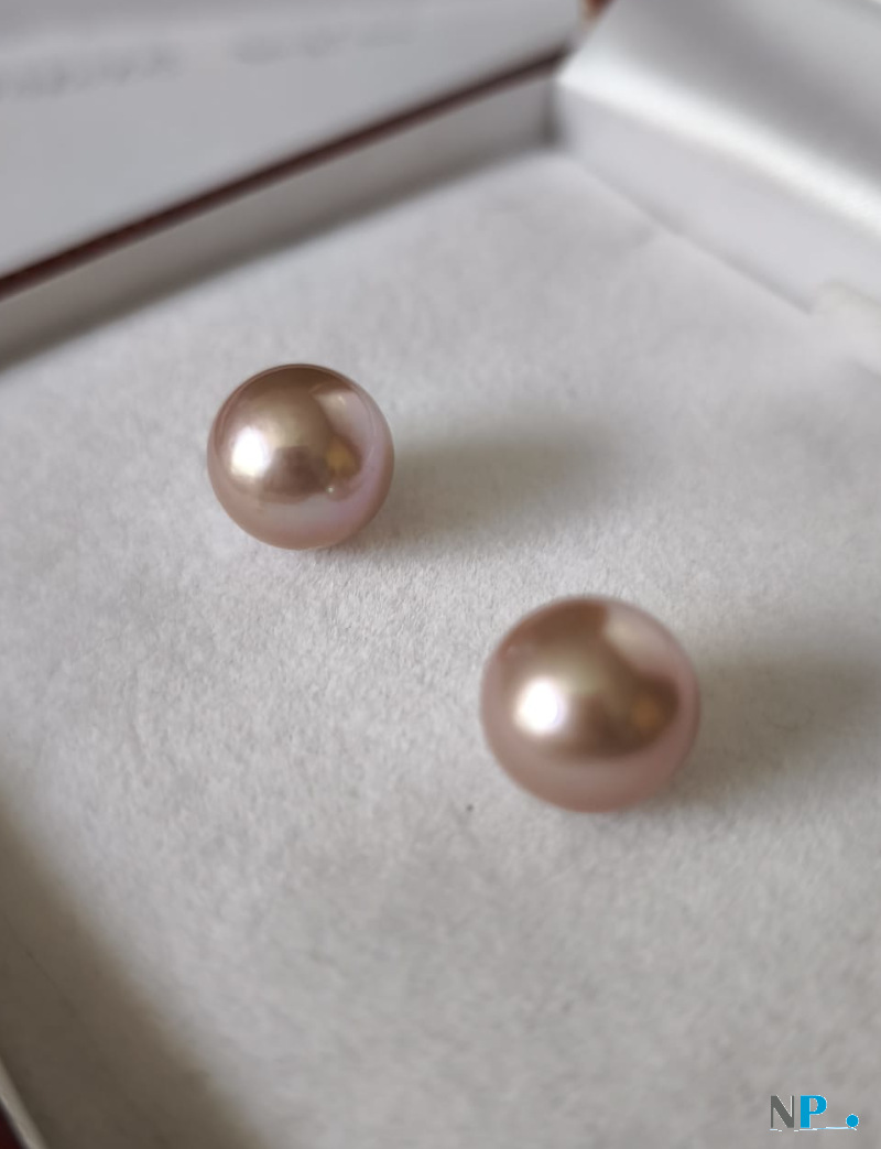 Perles EDISON couleur Lavande Perles EDISON couleur Lavande