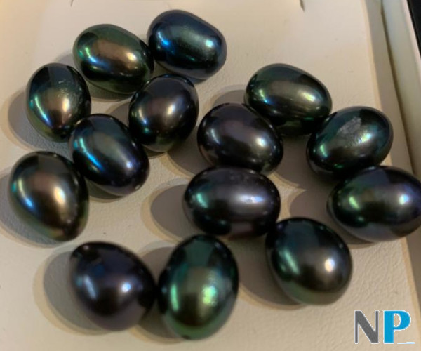 Perles noires d'eau douce en forme de goutte