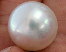 Perla Australiana di grande diametro - perla gemma - perla autentica- perle di coltura