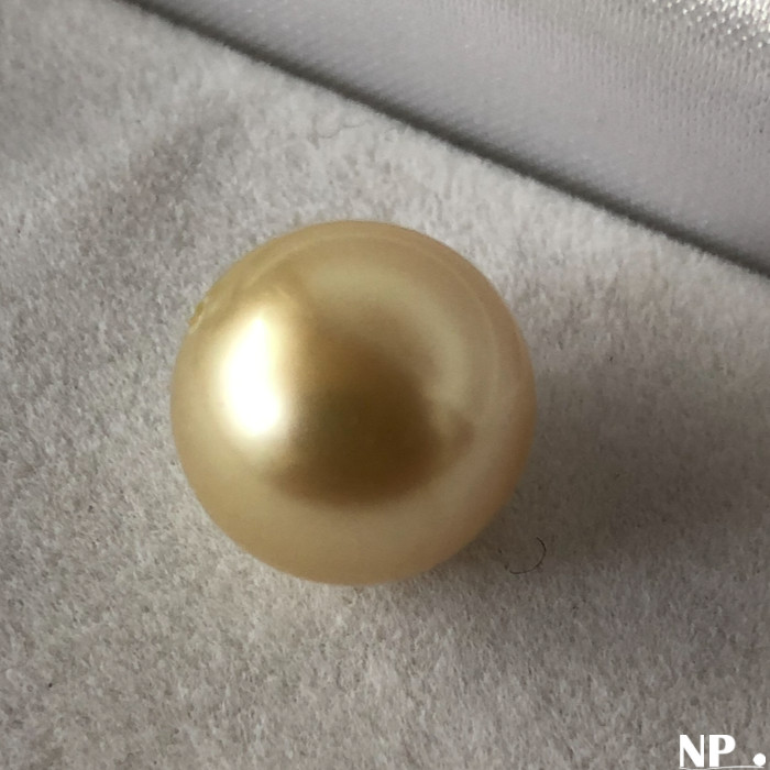 Perle dorée d'Australie  qualite AAA GEMME non percée de 13,4 mm