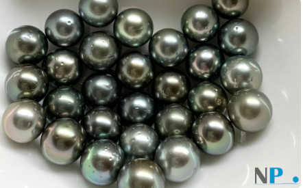 Perles baroques de Tahiti tonalités de gris non percées