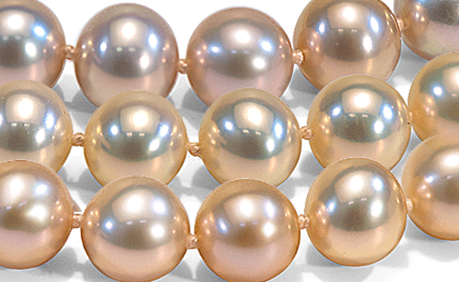 Perles eau douce métalliques