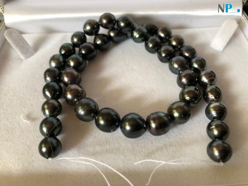 Collier de perles noires de Tahiti