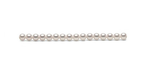 Filo di perle Akoya da 40 cm che permette di montare una collana da 45 cm una volta finita con nodi e fermaglio (fermaglio non incluso)