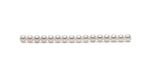 Rang 40 cm de perles d'Akoya blanches pour futur montage en collier de 45 cm