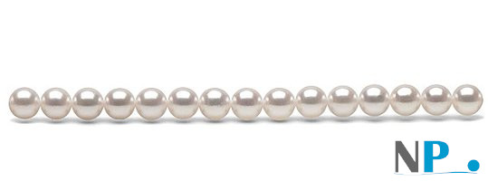 Filo di perle Akoya da 40 cm che permette di montare una collana da 45 cm una volta finita con nodi e fermaglio (fermaglio non incluso)
