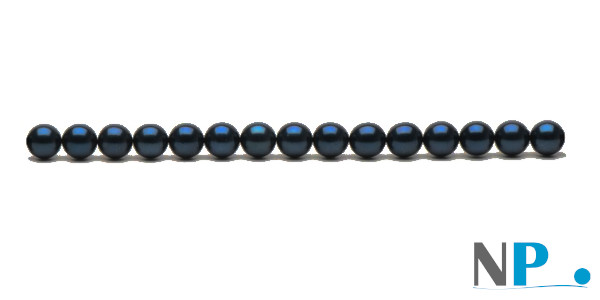 Filo di perle Akoya nere da 40 cm che permette di montare una collana da 45 cm una volta finita con nodi e fermaglio (fermaglio non incluso)