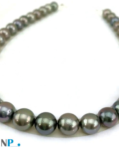 Collier de perles de Tahiti